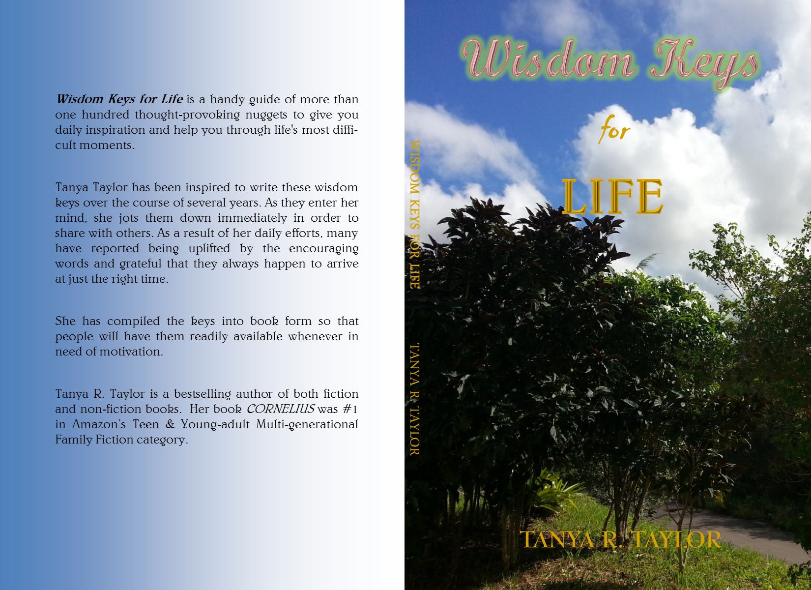 Wisdom Keys Paperback Book cover JPEG)