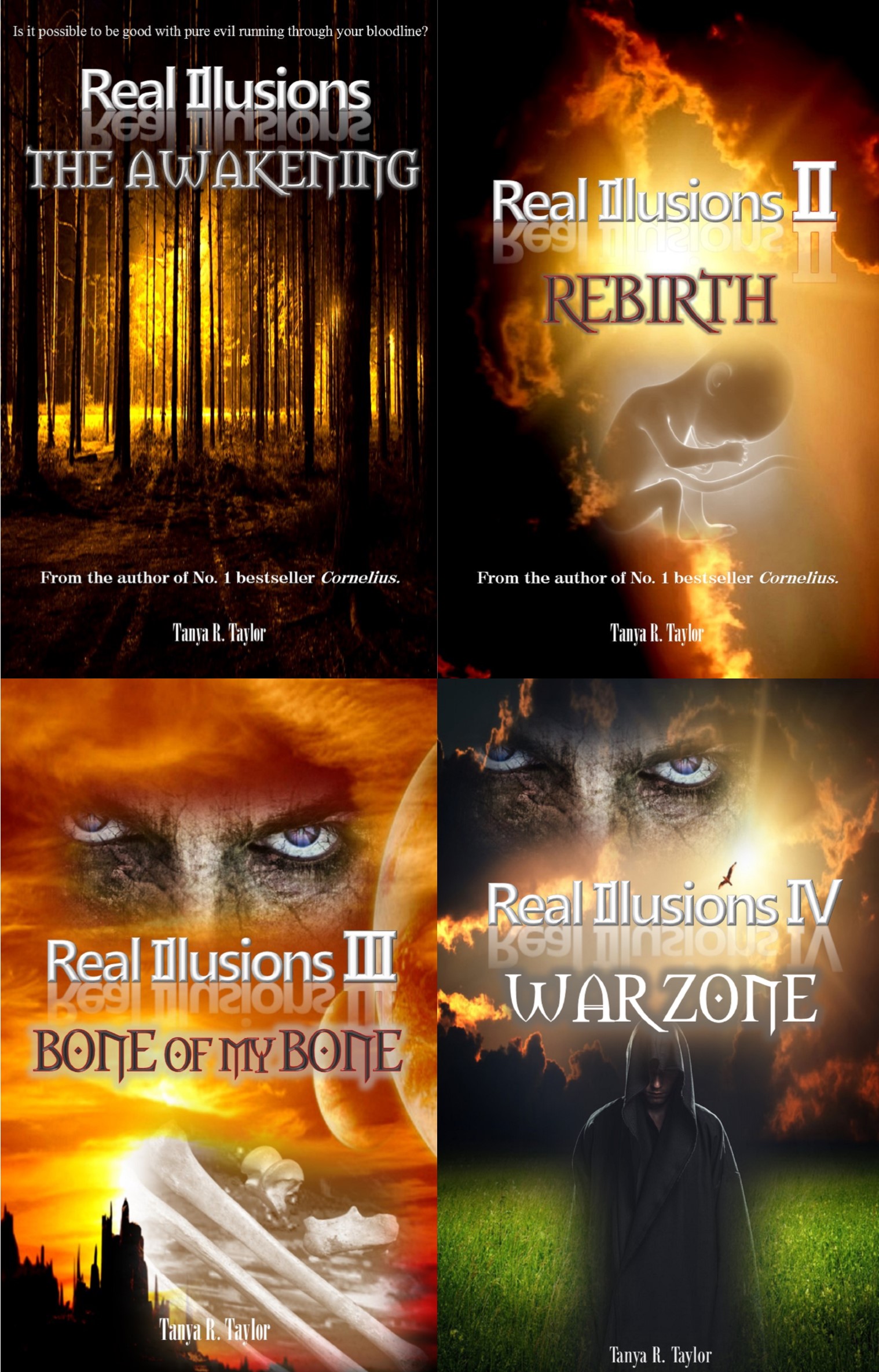 real-illusions-series-image