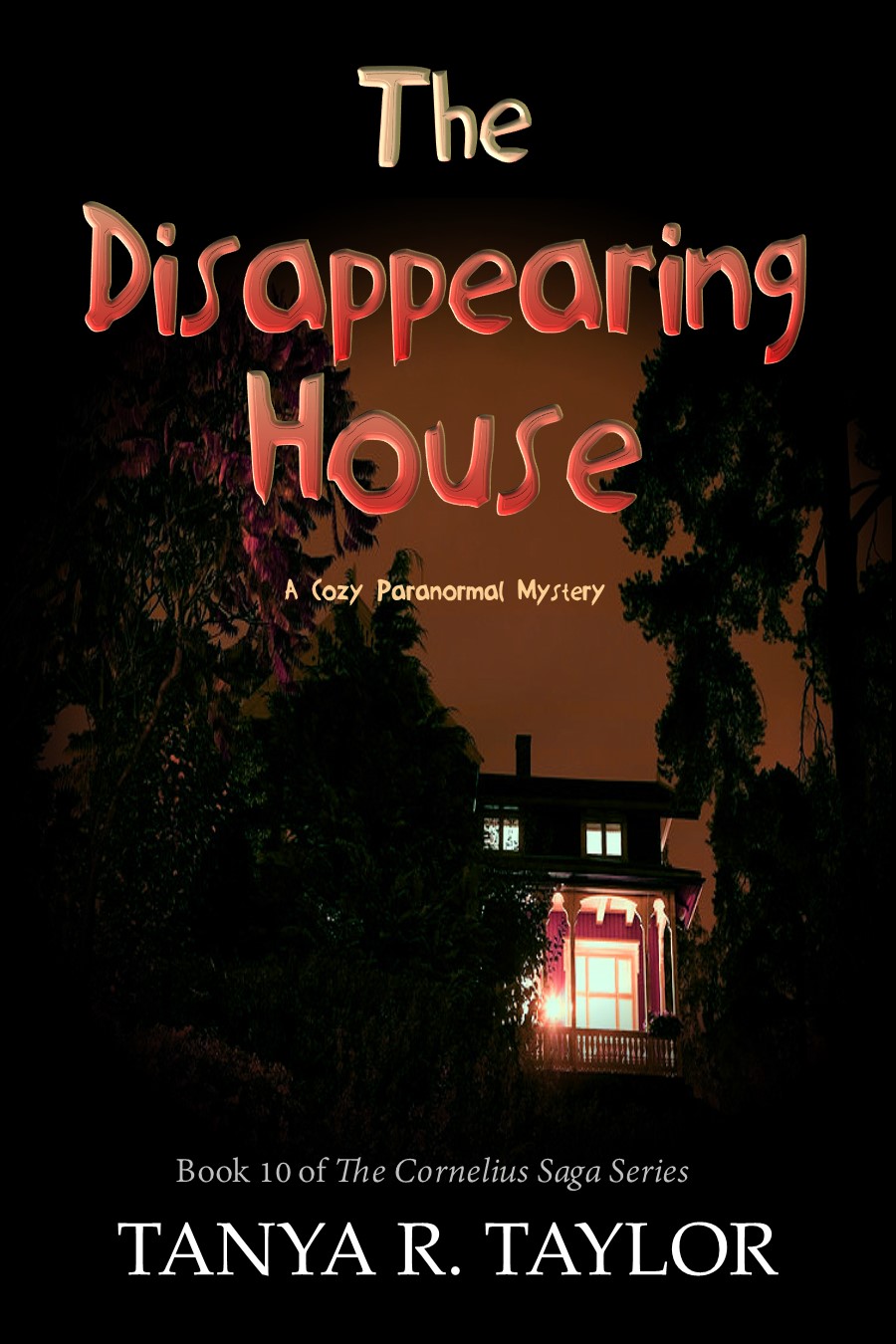 THE DISAPPEARING HOUSE